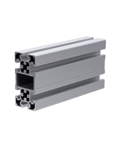 Profil aluminiowy 50x100L [10]
